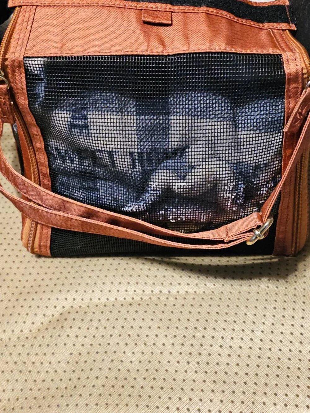 Luxury Airline-Approved Pet Carrier – Like New – Designer Handbag Style